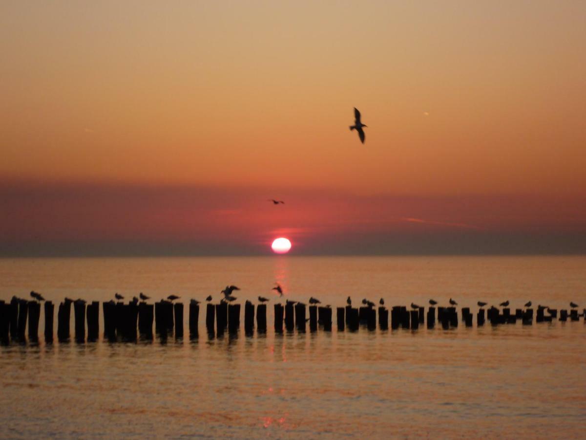 Prachtige Vakantiewoning Dichtbij Bos En Strand Ok22 오스트카펠 외부 사진